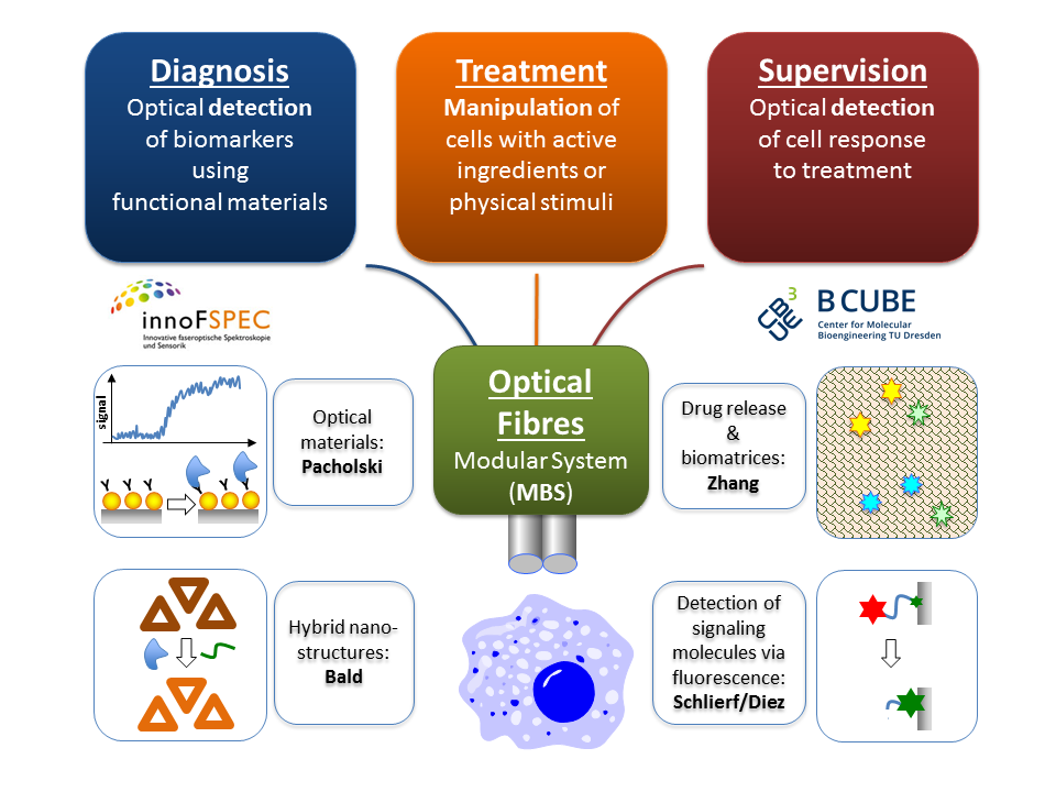 Three million euro for new methodology in personalised medicine